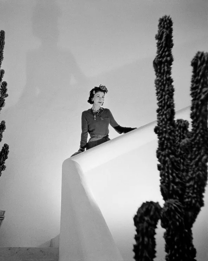 SaveClip.App_620326317_18558685948040705_4340159738444464433_n