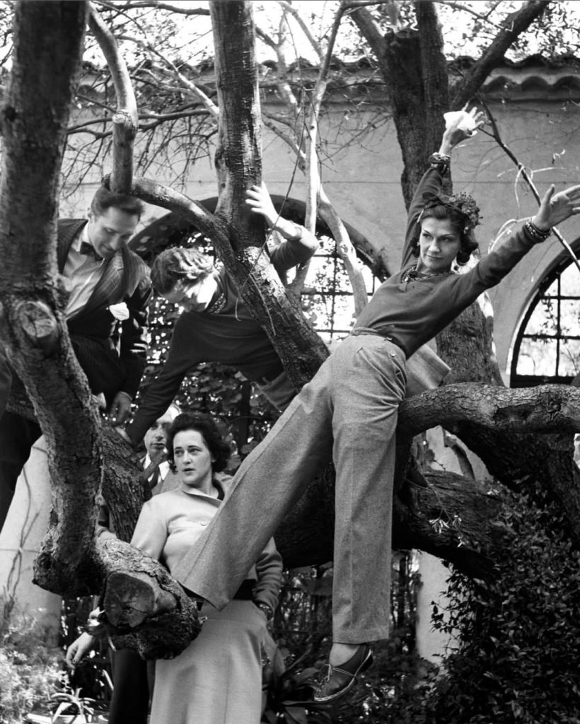 SaveClip.App_621136533_18558685915040705_7869999280371277451_n