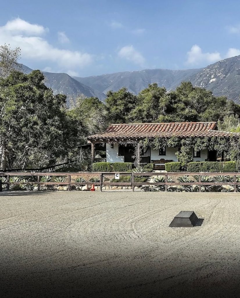 SaveClip.App_622154427_1491511719648554_3687278837748010700_n