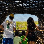 WhatsApp Image 2026 01 27 At 11.22.13