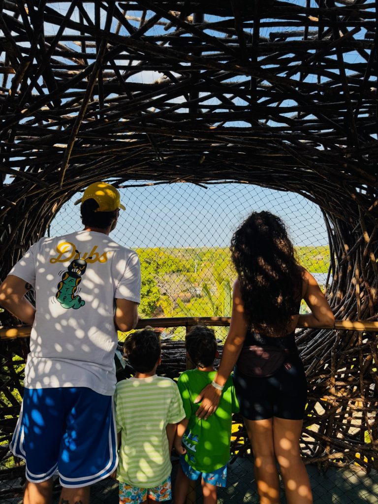 WhatsApp Image 2026 01 27 At 11.22.13