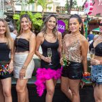 Carnaval Dias De Ruas  4179