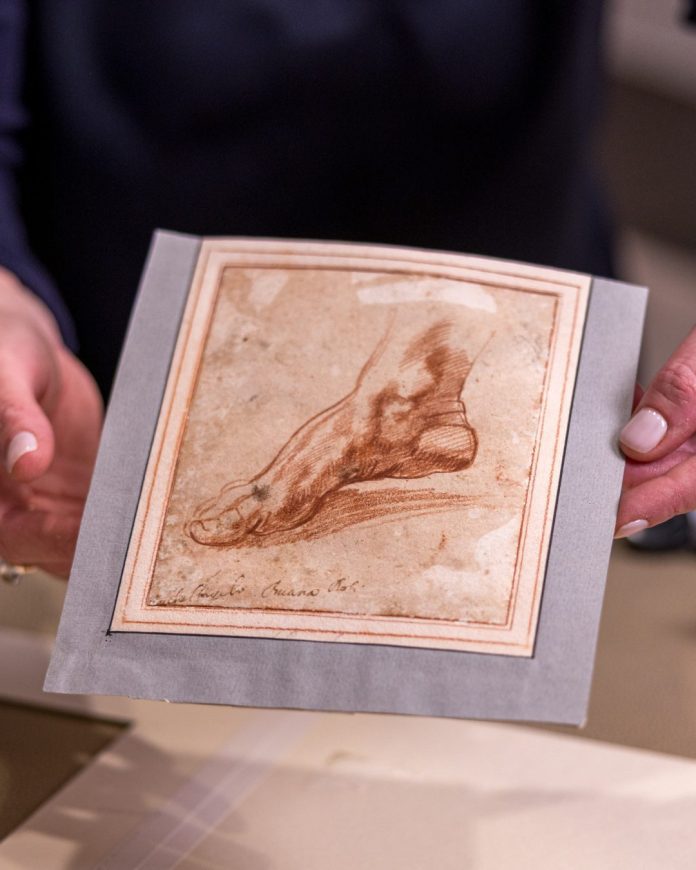 SaveClip.App_627791780_18552936538059960_6933372430091117169_n