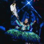 Camaroteallegria_1771248567008