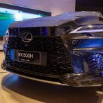 Lexus Experience Com Paulo Angelim, Leiliane Pinheiro E O Chef Luiz França 1711