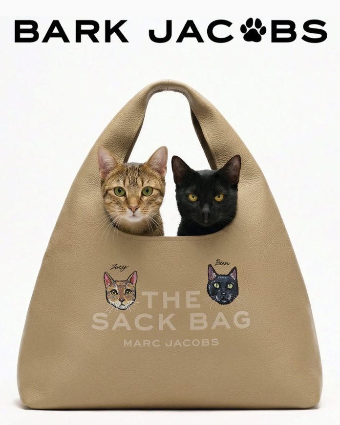 SaveClip.App_655625482_18572948914056530_8943214718445416764_n