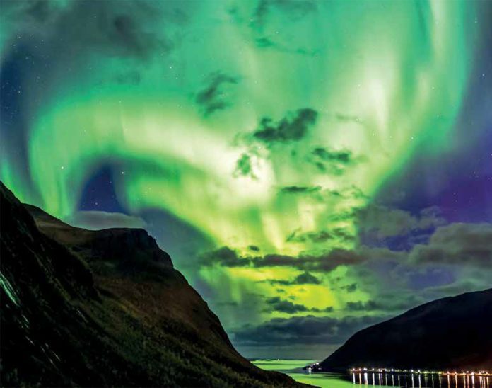 TR WEE3_web Single 1bg