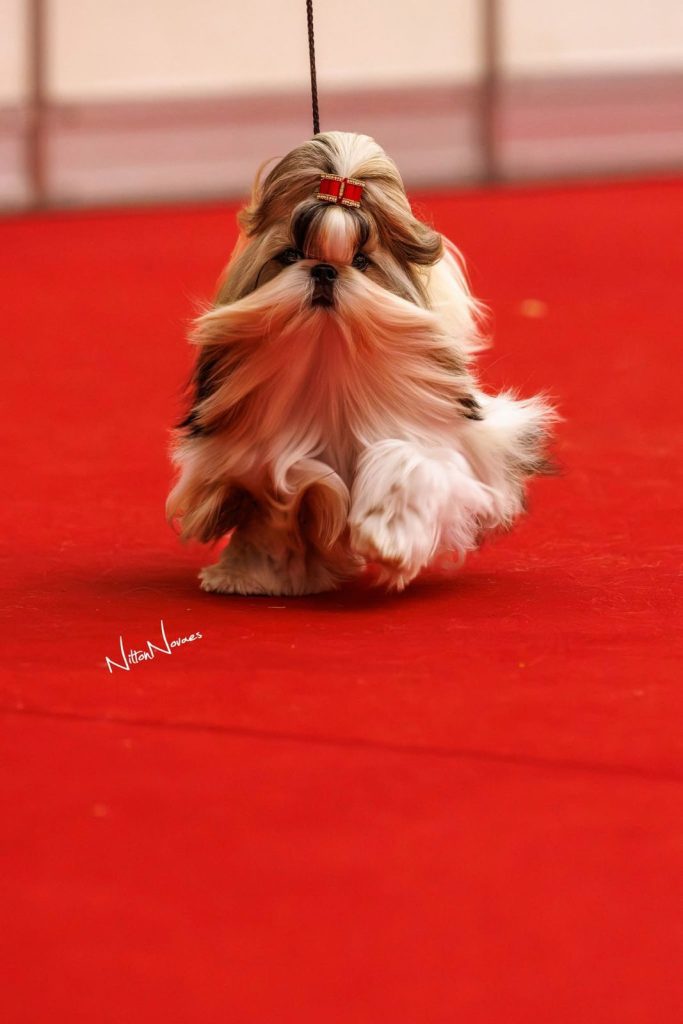 WhatsApp Image 2026 03 23 At 15.41.39