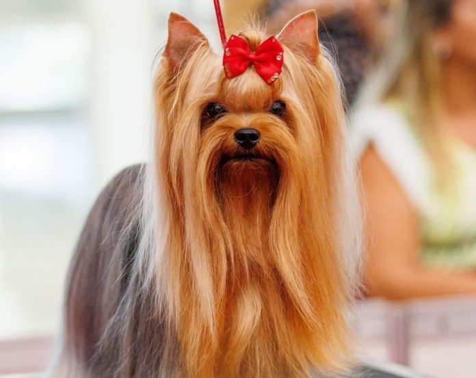 WhatsApp Image 2026 03 23 At 15.41.40 (1)