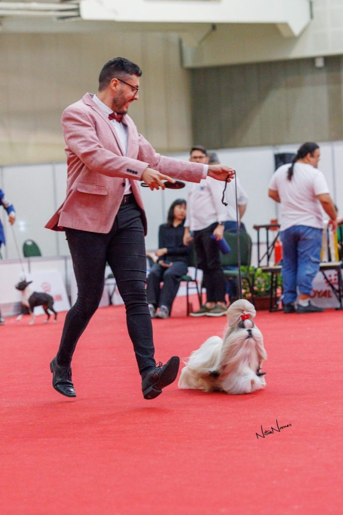 WhatsApp Image 2026 03 23 At 15.41.40