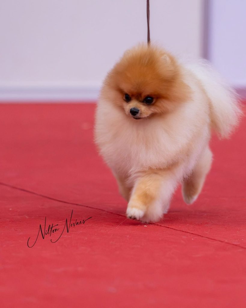 WhatsApp Image 2026 03 23 At 15.41.41 (1)