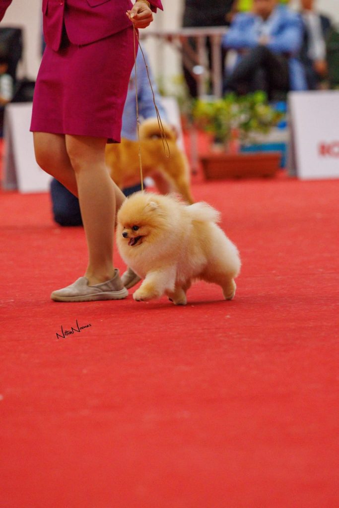 WhatsApp Image 2026 03 23 At 15.41.41