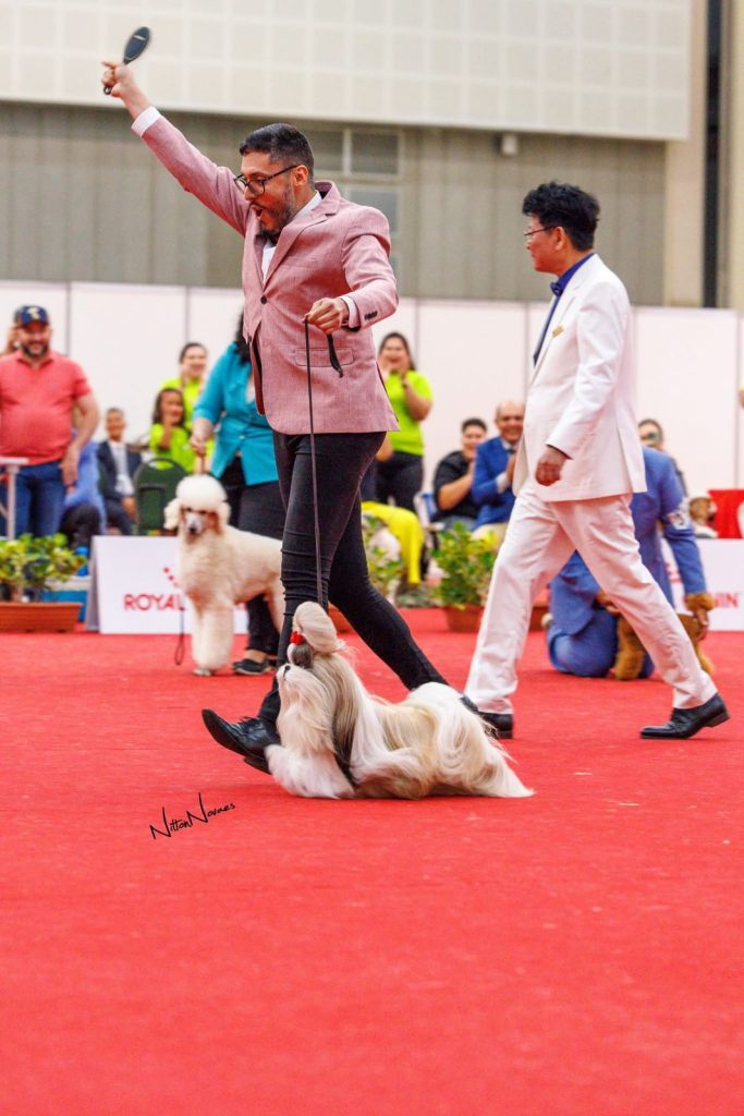 WhatsApp Image 2026 03 23 At 15.41.42