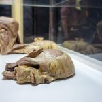 Abertura Exposição Human Bodies 3046