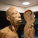 Abertura Exposição Human Bodies 3087