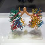 Abertura Exposição Human Bodies 3095