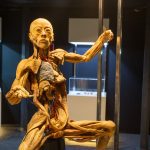 Abertura Exposição Human Bodies 3097