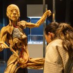 Abertura Exposição Human Bodies 3107