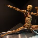 Abertura Exposição Human Bodies 3113