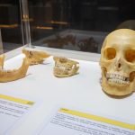 Abertura Exposição Human Bodies 3117