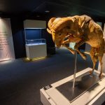 Abertura Exposição Human Bodies 3121