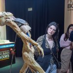 Abertura Exposição Human Bodies 3140