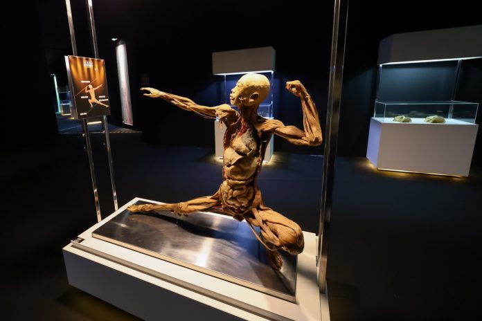 HumanBodies CWB 016_Easy Resize.com