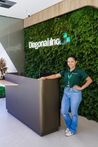 Diagonal Inc (15)