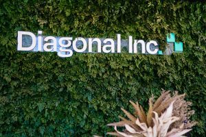 Diagonal Inc (2)