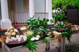 Pré Lançamento CASACOR (5)