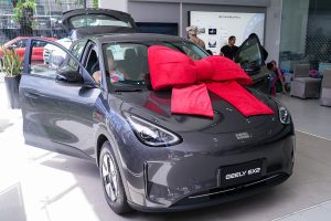 Geely Meet (17)