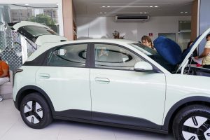 Geely Meet (28)
