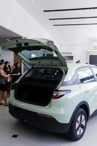 Geely Meet (29)