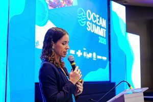 Ocean Summit(11)