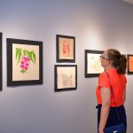 Exposição Natureza A Fio(13)