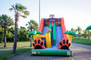 Festival Viva Riviera (7)
