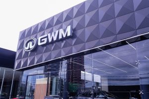 GWM(31)